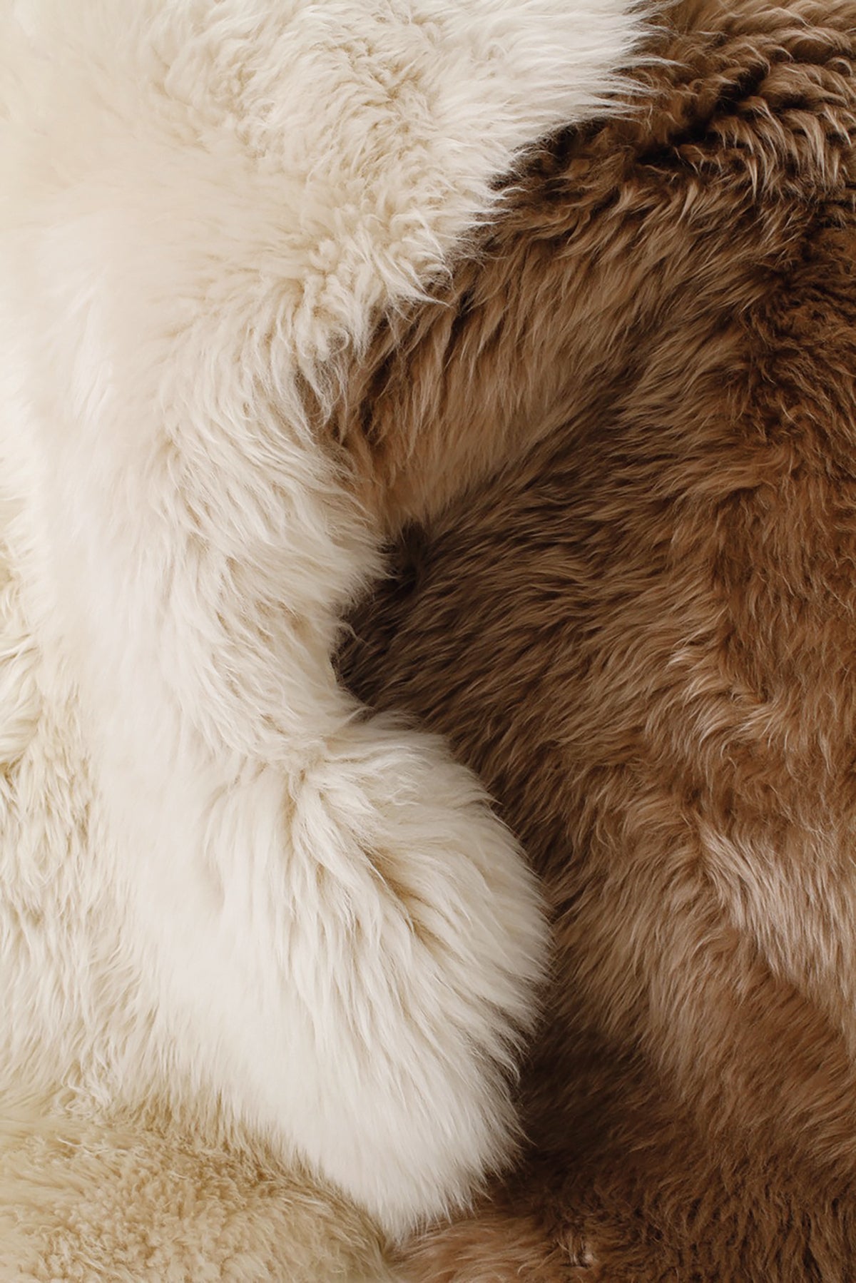 Sheepskin Nature's Collection SHEEP SKIN NATURES COLLECTION Cushion Cute Stylish Nordic SEAT PAD SHEEP SKIN Cushion Chair cover Cold weather goods